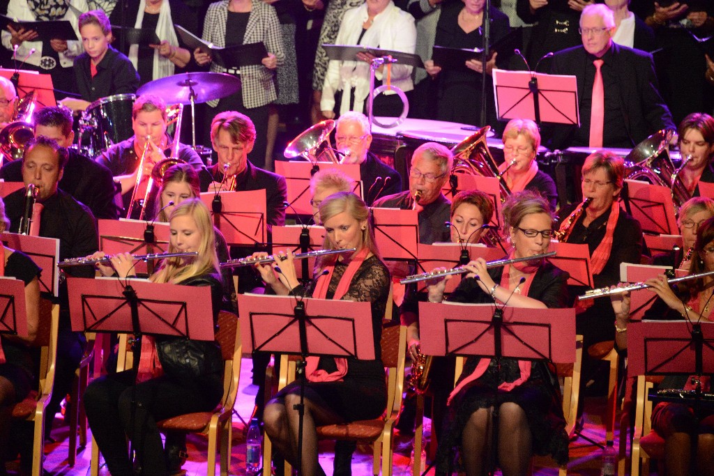../Images/Jubileumconcert 100 jaar Harpe Davids 111.jpg